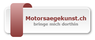 Motorsaegekunst.ch